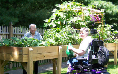 April showers bring ‘Accessible’ flowers